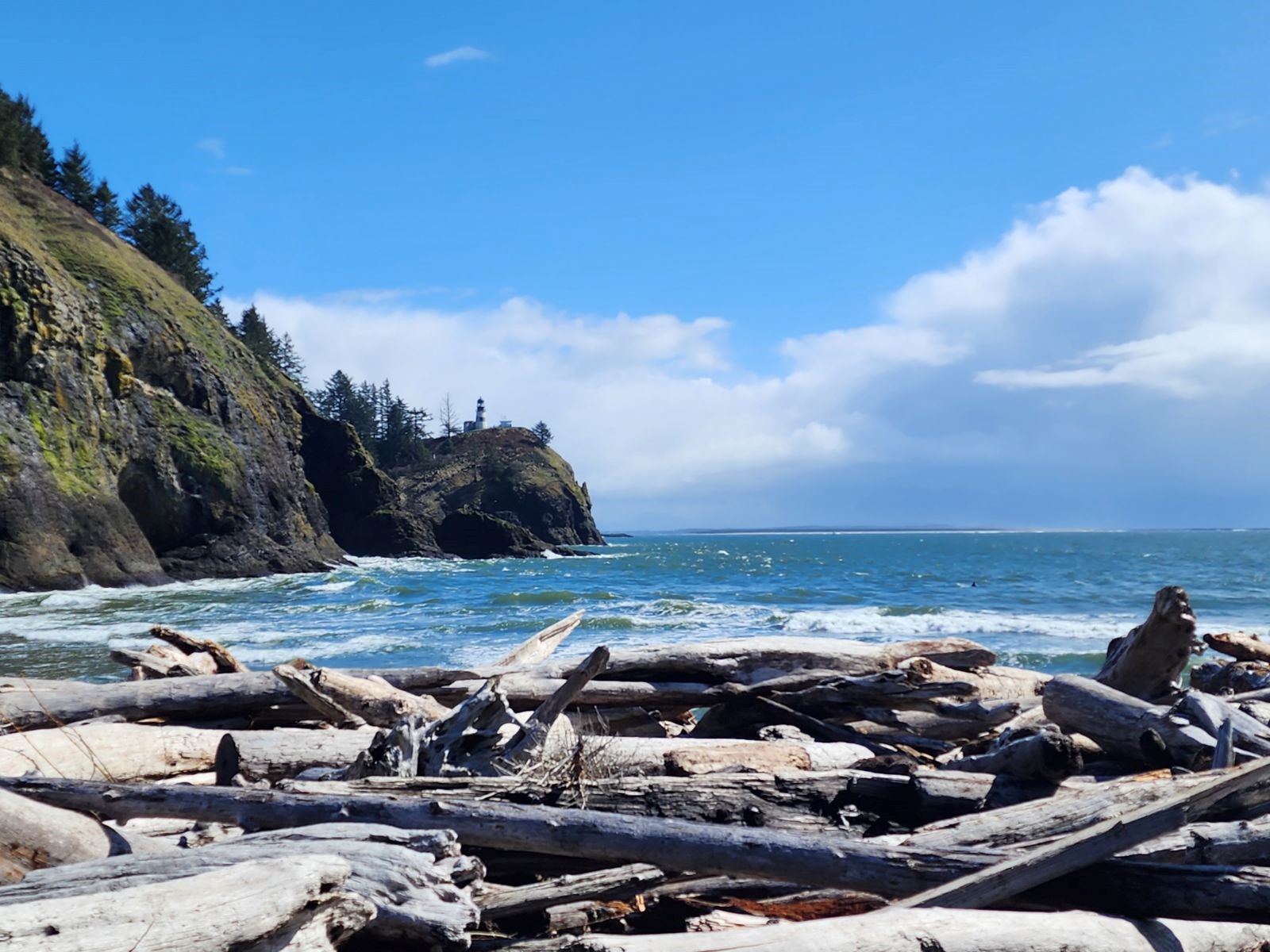 Home — Pacific Rentals Long Beach, WA Vacation Homes